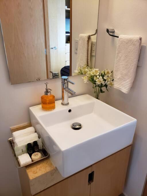 Luxury Apartment In Carso, Polanco Mexico-stad Buitenkant foto